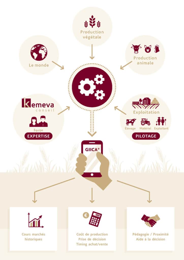 kemeva conseil GIICA infographie